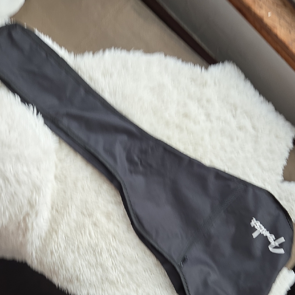 Fender Gig Backpack No Padding Like New
